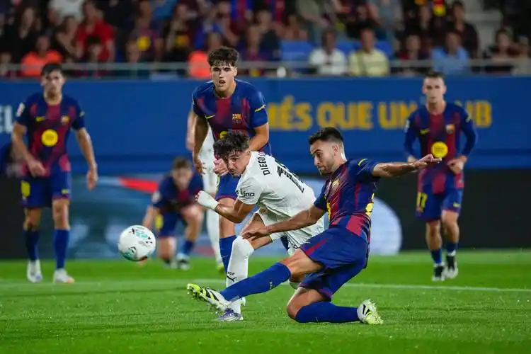 雨燕体育直播在线直播